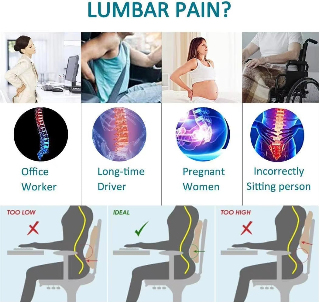 Lumbar Support Cushion for Car & Office Chair - My Store